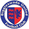 Biggleswade-United-FC 1