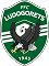 PFC_Ludogorets_Razgrad_logo.svg_ 1