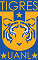tigres 1 tigres 1